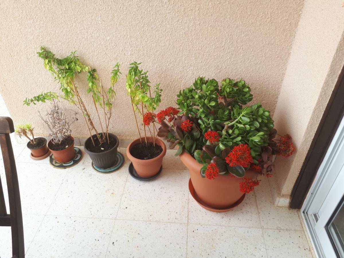 The Marilouize Apartment Peyia Exterior foto